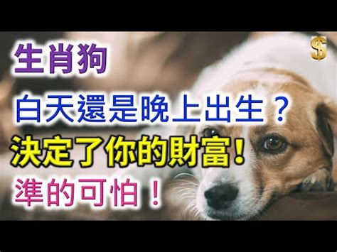 戊狗|戌狗